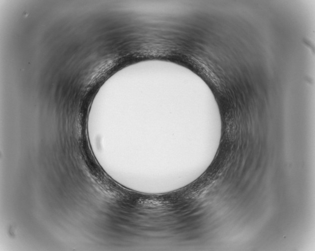 X0000094950635200712271658