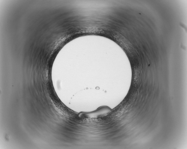 X0000094950636200712271658