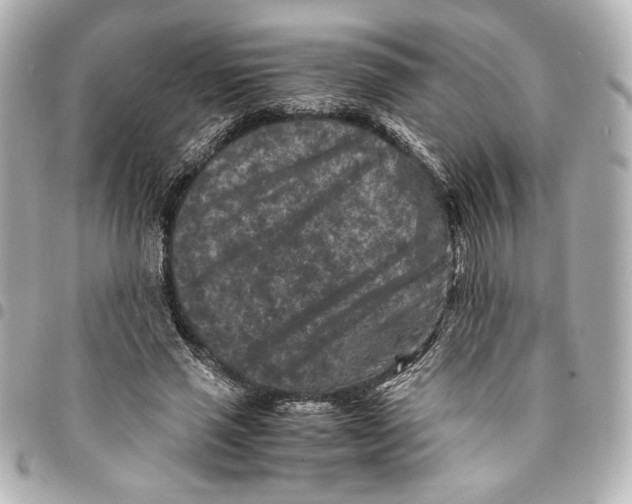 X0000094950637200712271658