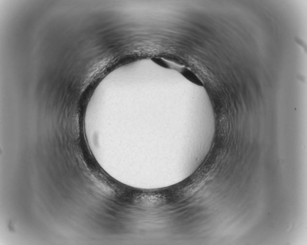 X0000094950638200712271658