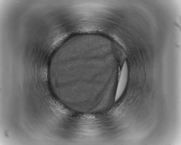 X0000094950640200712271658