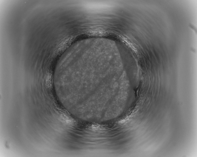 X0000094950641200712271658