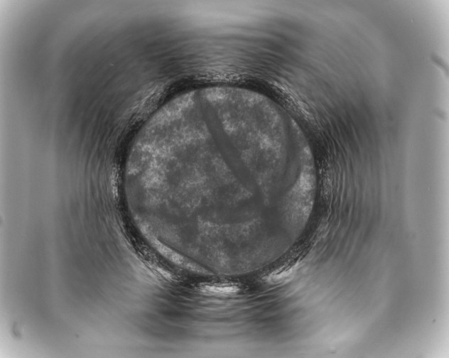 X0000094950643200712271658