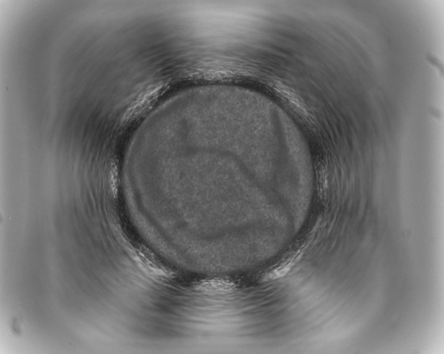 X0000094950644200712271658