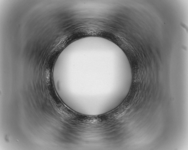 X0000094950646200712271658