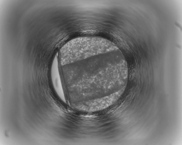 X0000094950647200712271658