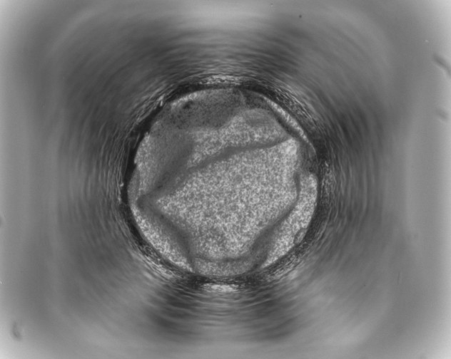 X0000094950649200712271658