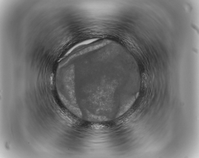 X0000094950650200712271658