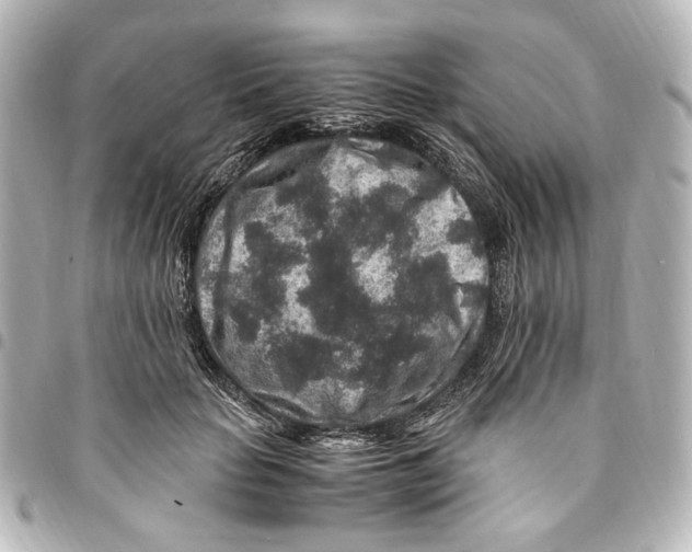 X0000094950653200712271658