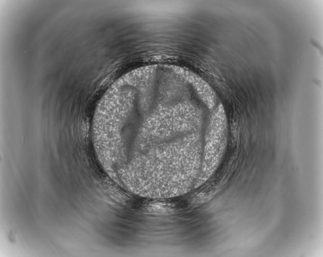 X0000094950657200712271658