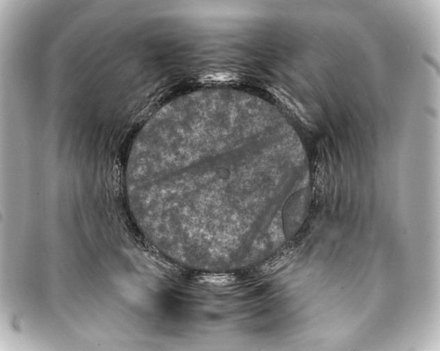 X0000094950659200712271658