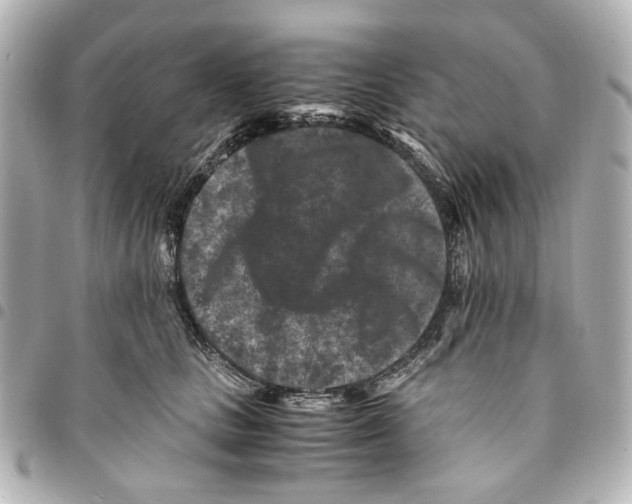 X0000094950661200712271658