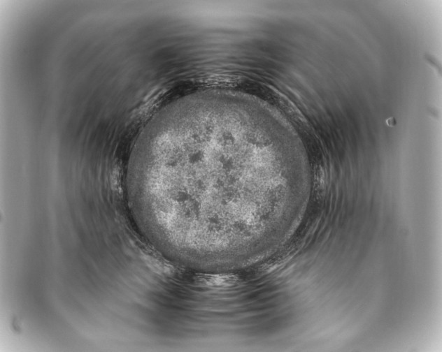 X0000094950663200712271658