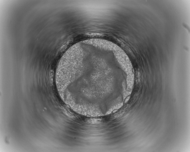 X0000094950664200712271658