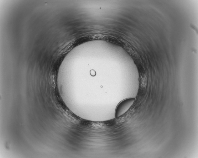 X0000094950666200712271658