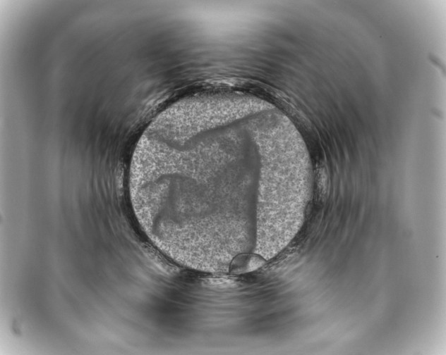 X0000094950668200712271658