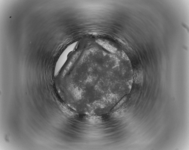 X0000094950670200712271658