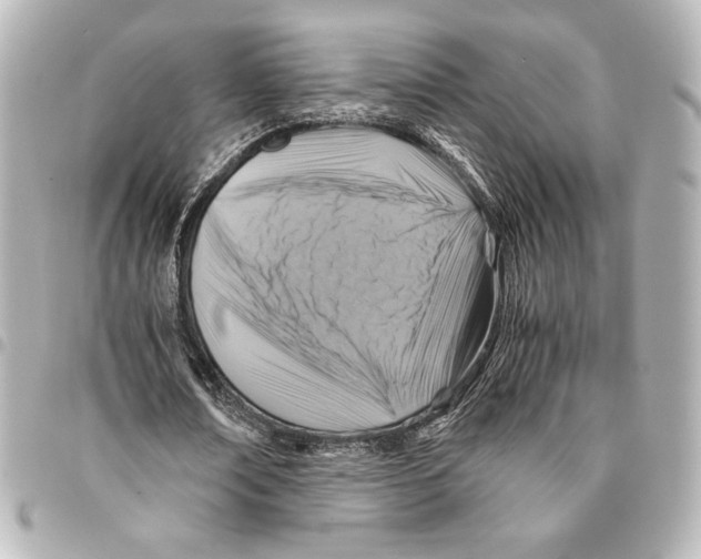 X0000094950674200712271658