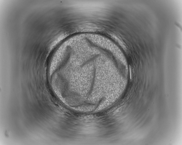 X0000094950675200712271658