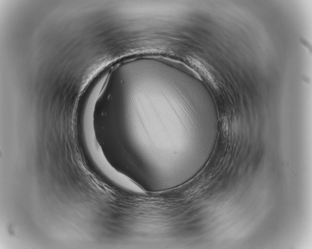 X0000094950676200712271658