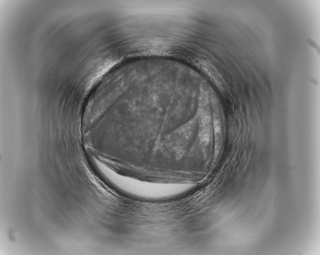 X0000094950677200712271658