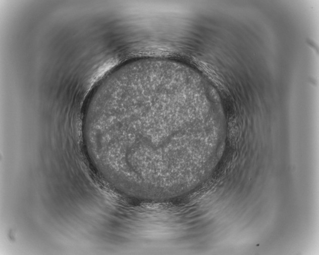 X0000094950679200712271658