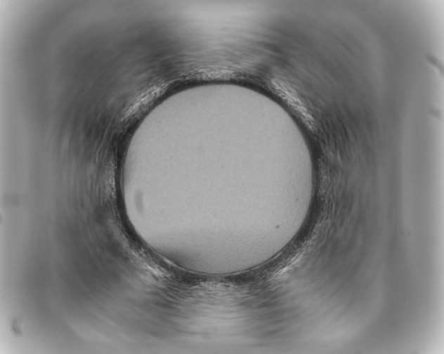 X0000094950681200712271658