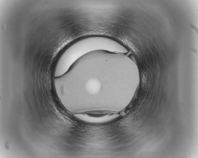 X0000094950684200712271658