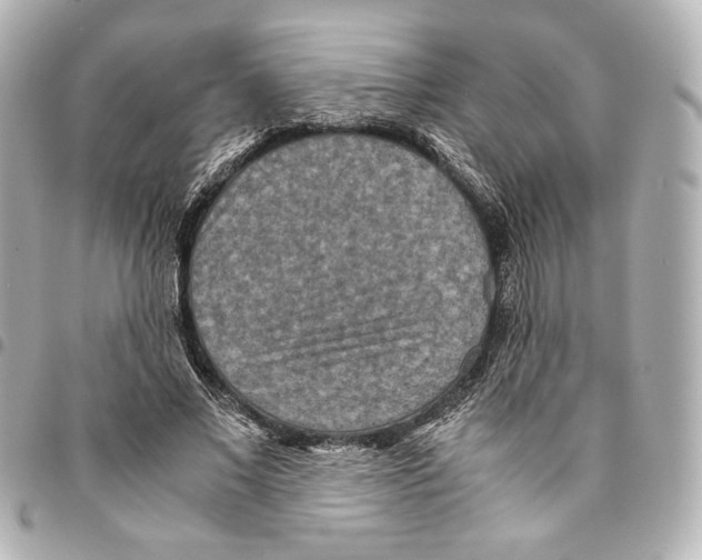 X0000094950685200712271658