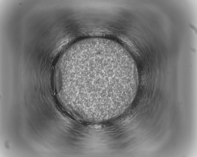 X0000094950687200712271658