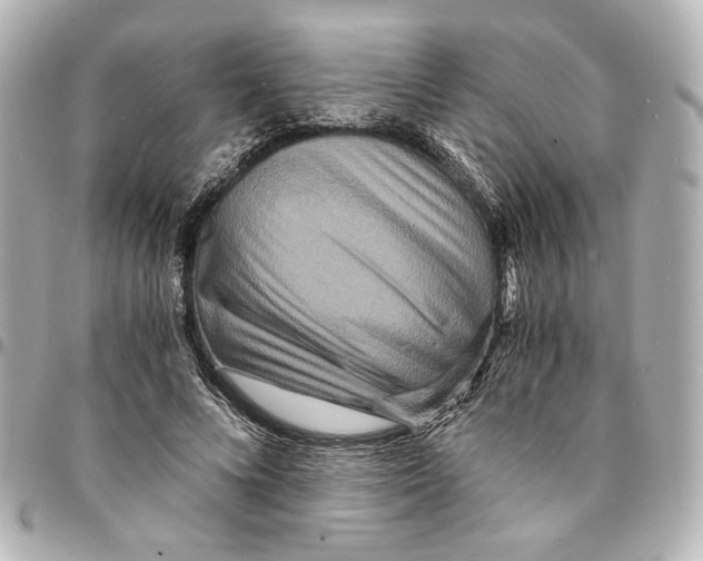 X0000094950688200712271658