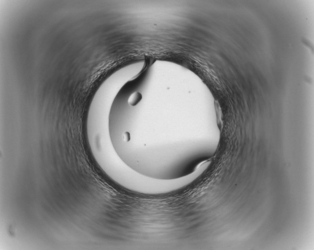 X0000094950689200712271658