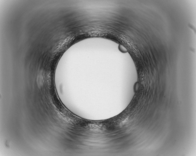 X0000094950690200712271658