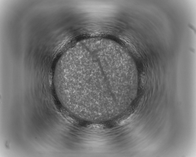 X0000094950691200712271658