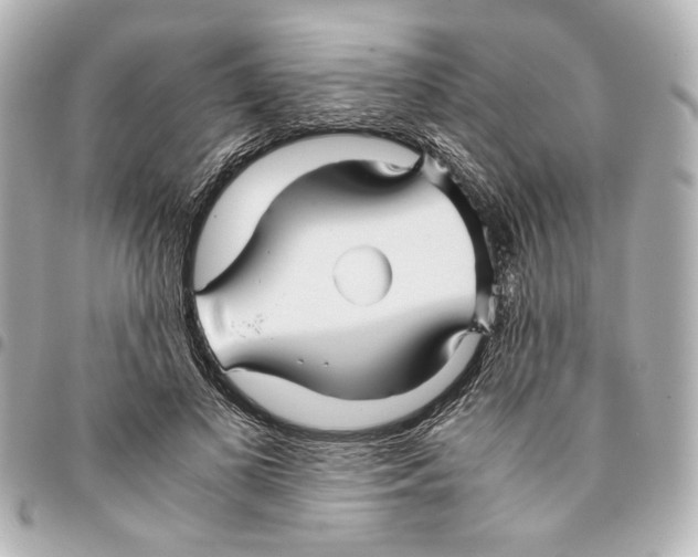 X0000094950693200712271657