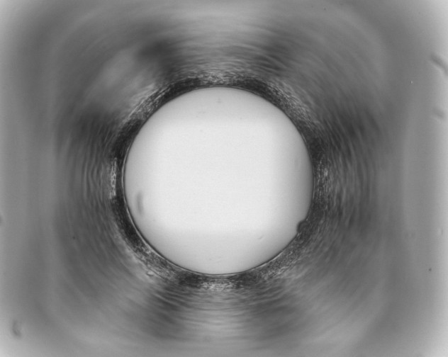 X0000094950694200712271657