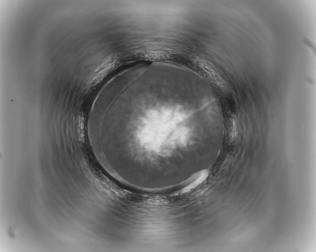 X0000094950696200712271657