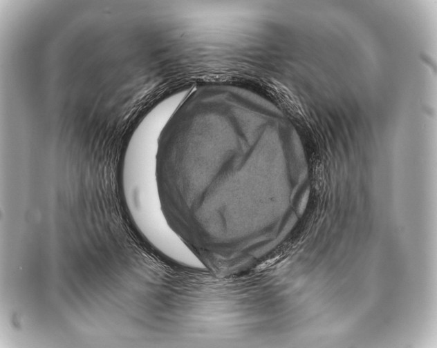 X0000094950697200712271657