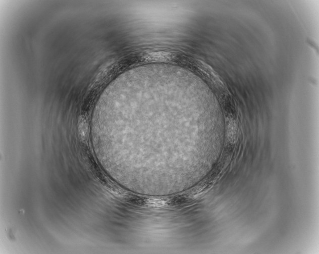 X0000094950701200712271657