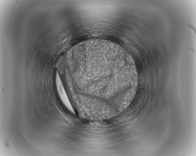 X0000094950703200712271657