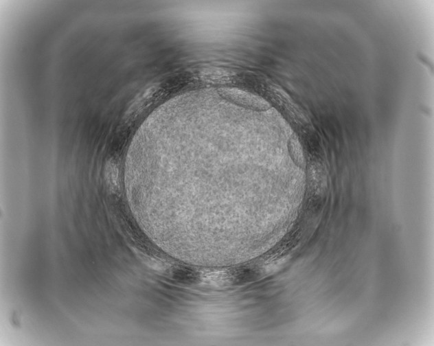 X0000094950705200712271657