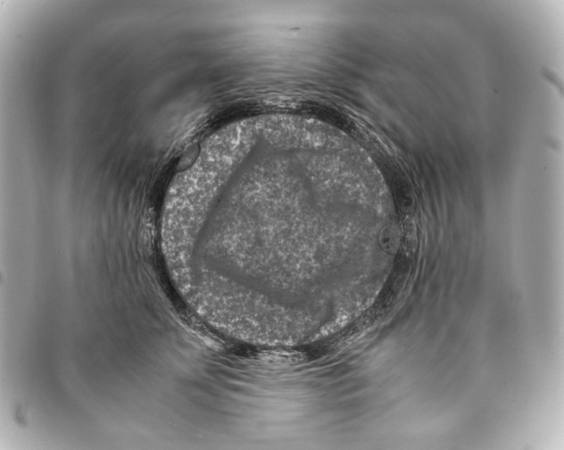 X0000094950707200712271657