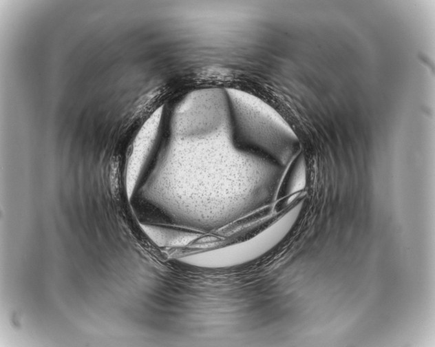 X0000094950708200712271657