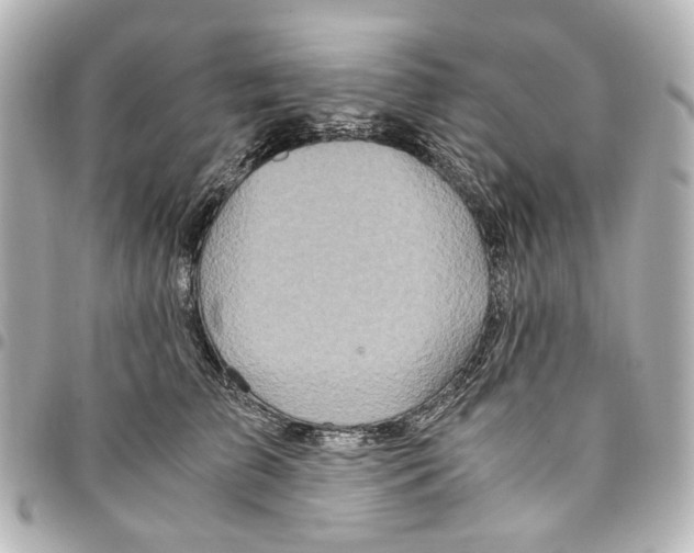 X0000094950709200712271657