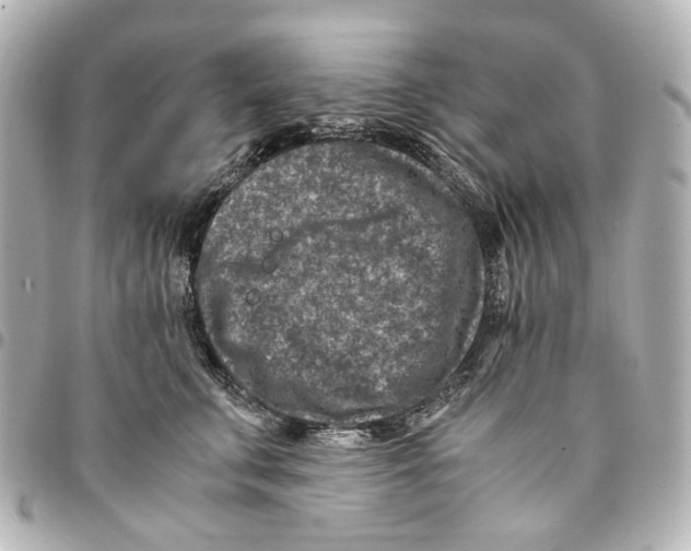 X0000094950711200712271657