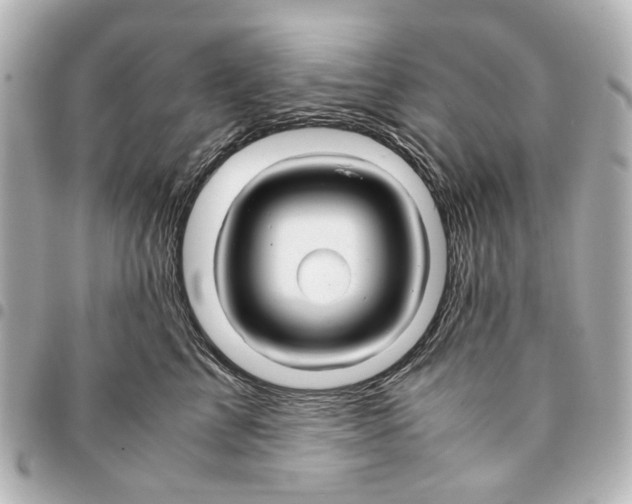 X0000094950713200712271657