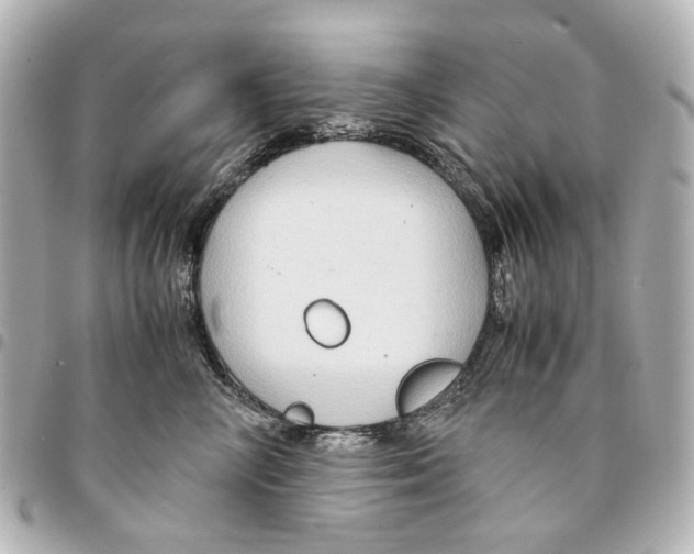 X0000094950714200712271657