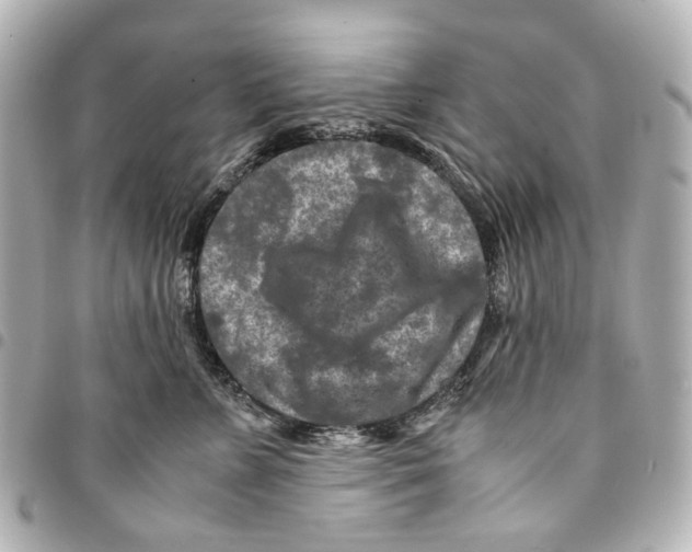 X0000094950715200712271657