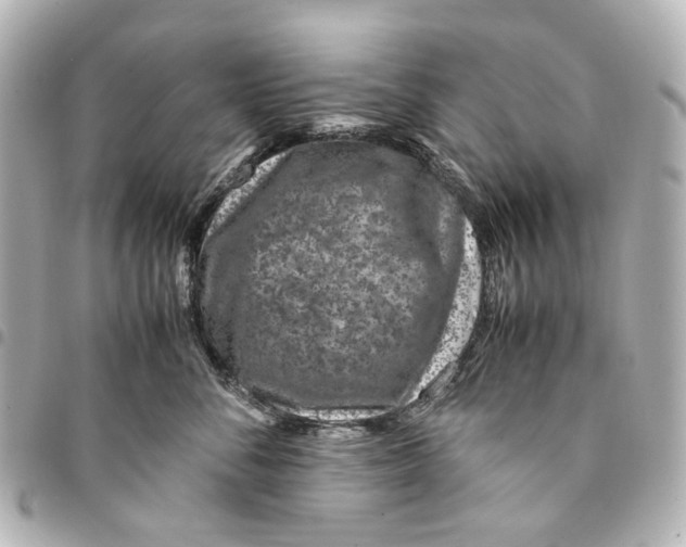 X0000094950716200712271657