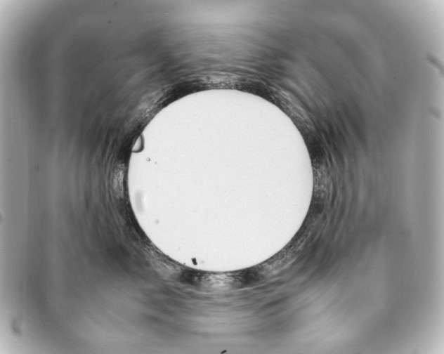 X0000094950717200712271657